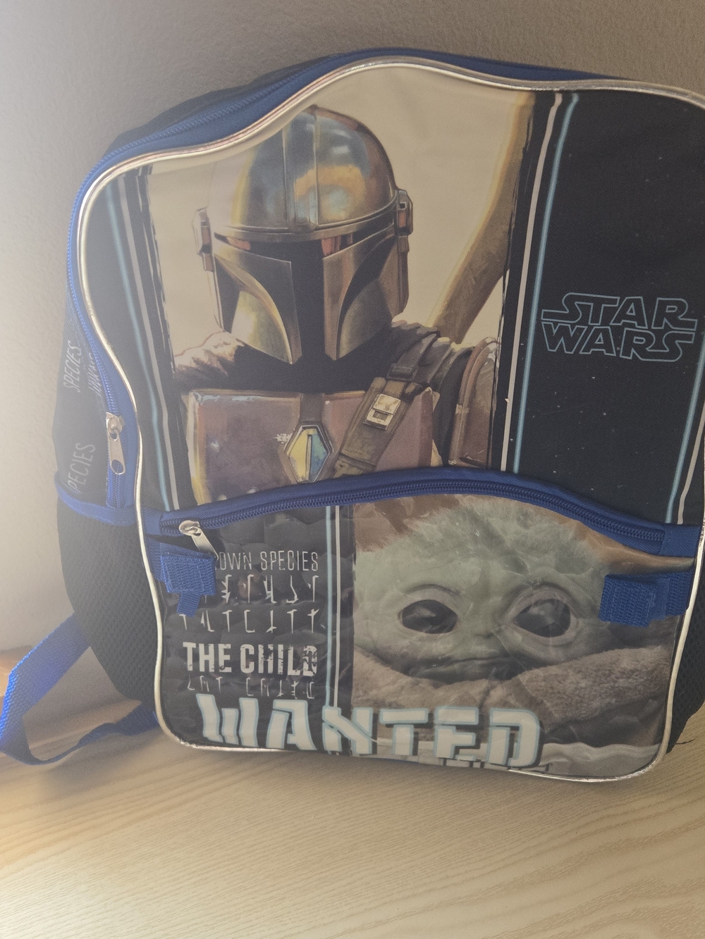 Star Wars Kids Blue and Black The Child & Mandalorian Backpack